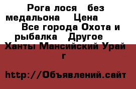 Рога лося , без медальона. › Цена ­ 15 000 - Все города Охота и рыбалка » Другое   . Ханты-Мансийский,Урай г.